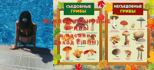 ECSTASY Армянск