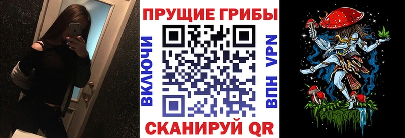 KRAKEN зеркало Верхняя Салда Галлюциногенные грибы Psilocybine cubensis где найти наркотики
